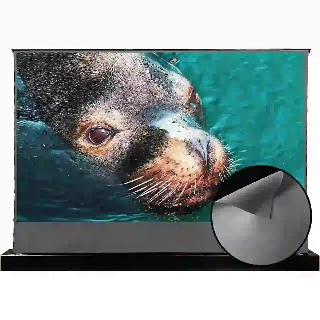 Projection Screen